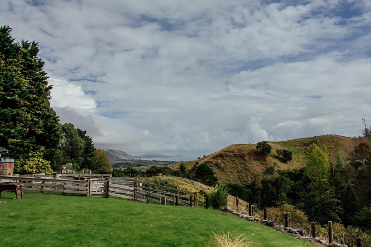 Luxury Stay, Alpaca Farm Paraparaumu Exterior foto